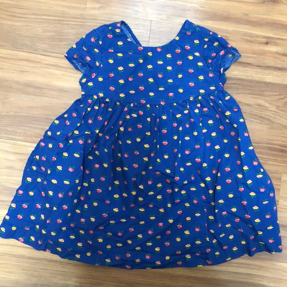 Hanna Andersson dress.